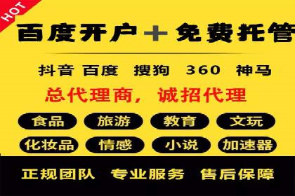 知名SEM服务公司成功案例分享