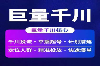 网络推广竞价策略解析与应用案例